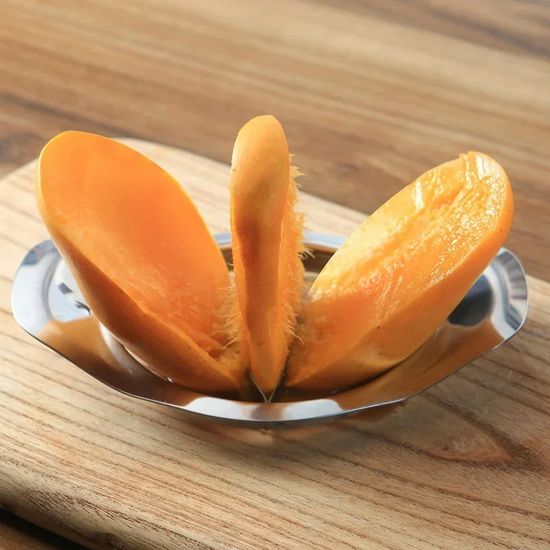 Edelstahl Mango Cutter Apfel S – Apple Corer Slicer Bewertung und Preis