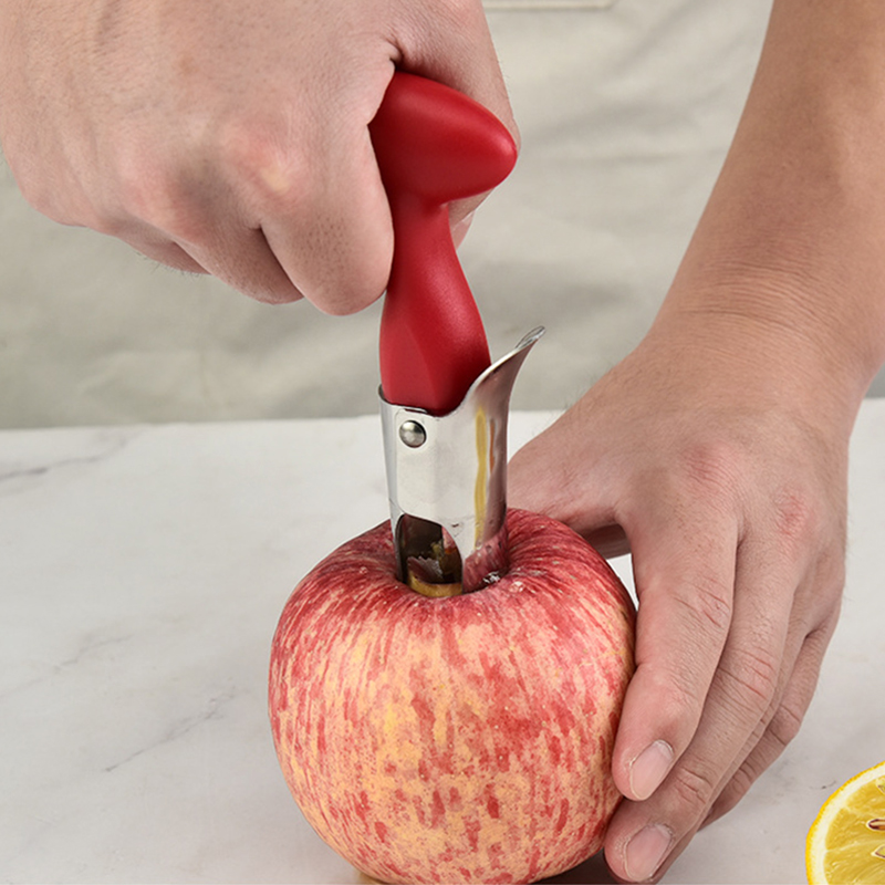 Apfel Corer Edelstahl Obst Cor – Apple Corer Slicer Bewertung und Preis