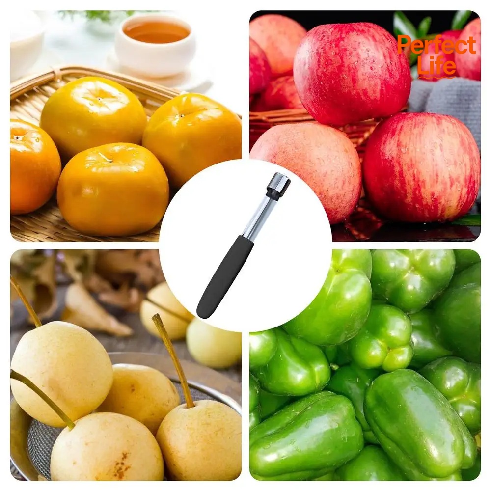 Apfel Corer Pitter Birne Glock – Apple Corer Slicer Bewertung und Preis