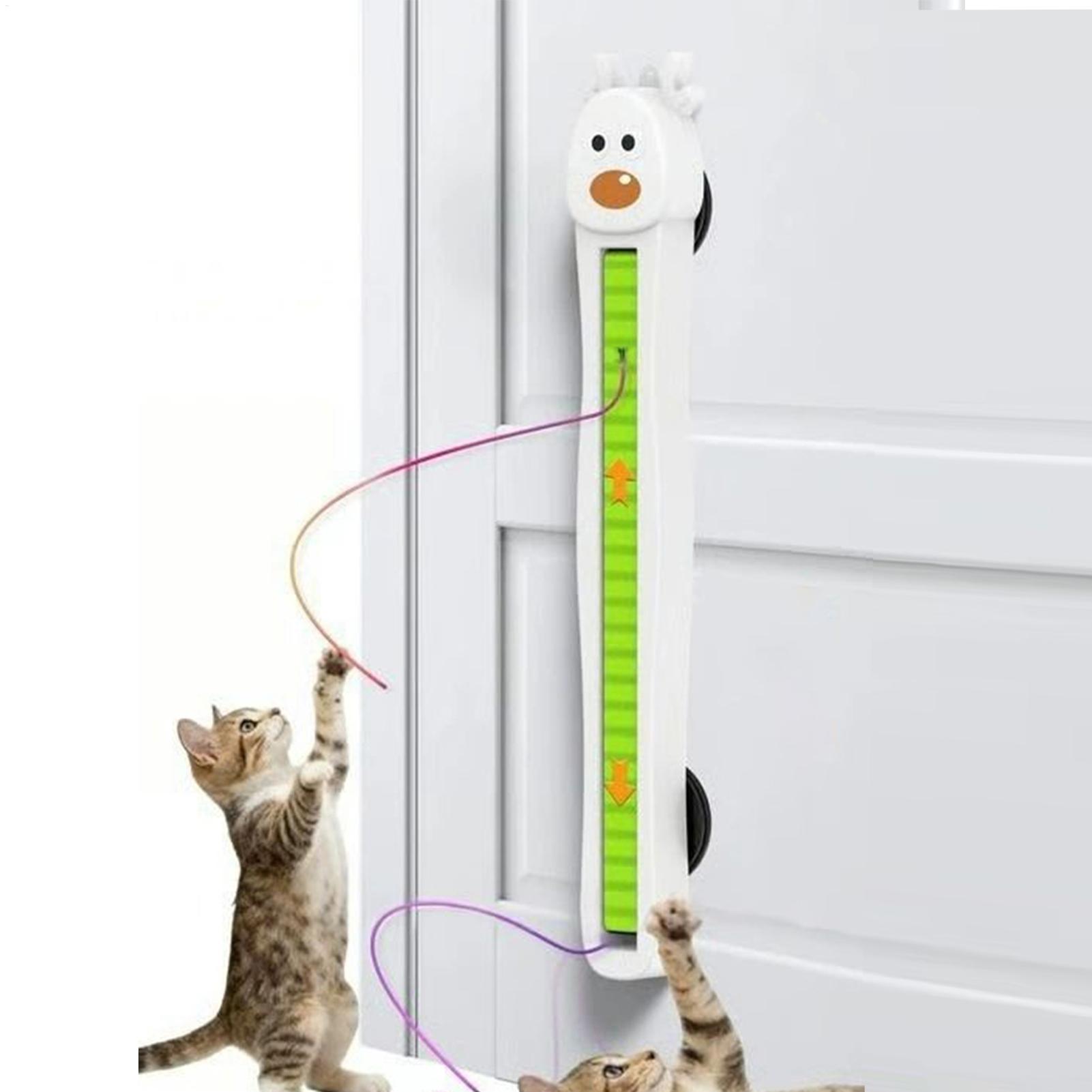 Elektronisches Katzenspielzeug – Kitchen Gadgets Electronic Bewertung und Preis